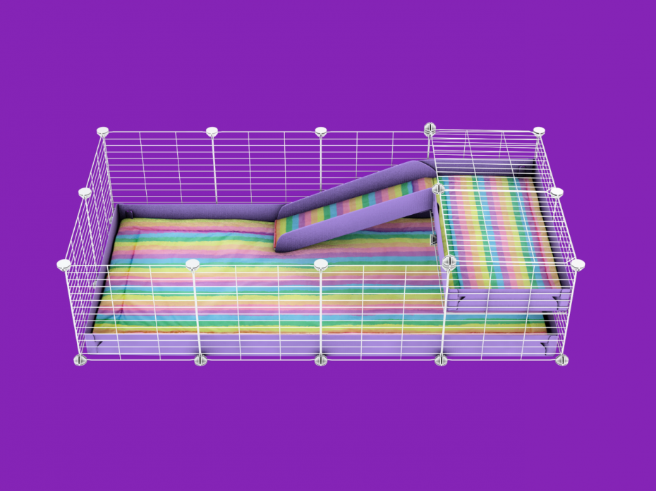 C&C cage Lilac with loft, white grids, rainbow fleece liner